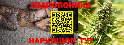 jwh Кандалакша