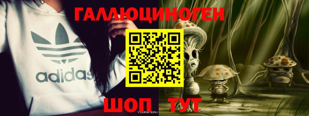 Биробиджан  Псилоцибиновые грибы прущие грибы  Вход с VPN 
